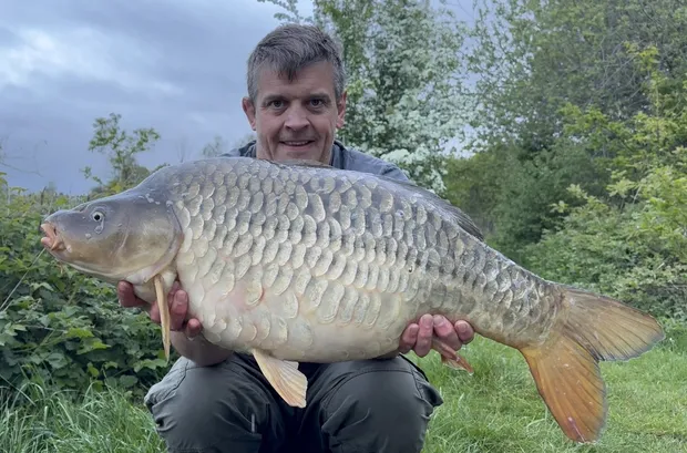 31lb Mirror