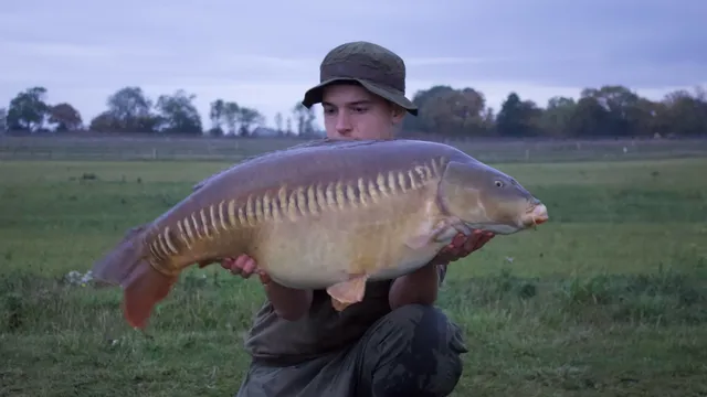 39.0 Carp