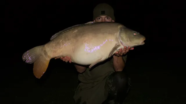 40.2 Carp