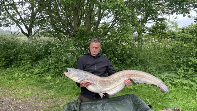 52.4 Catfish