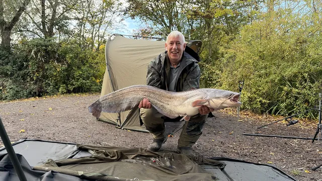 29.6 Catfish