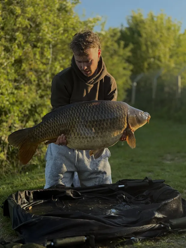44lb 2oz Common carp