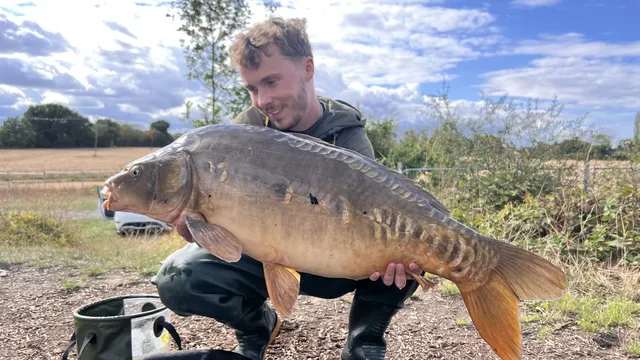 33lb Mirror carp