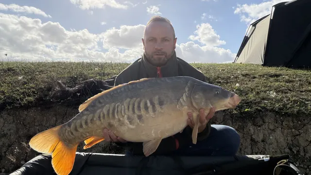 23.0 Mirror