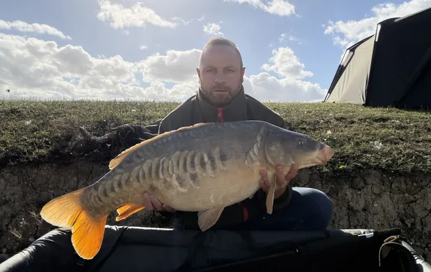 23.0 Mirror