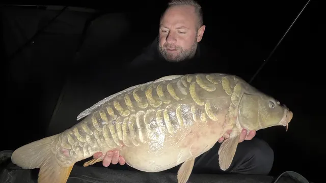 32.0 Mirror