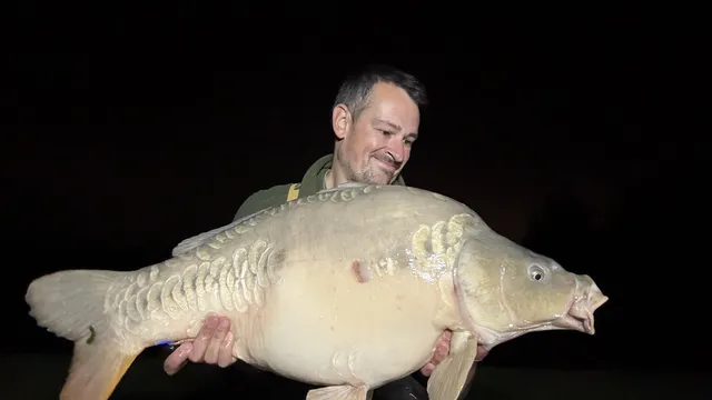 33.02 Carp