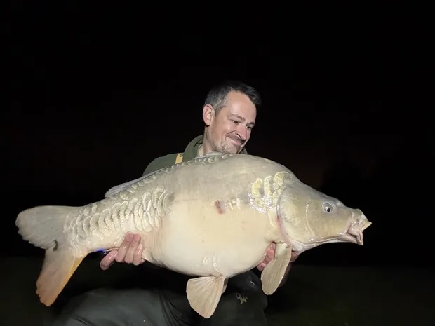 33.02 Carp