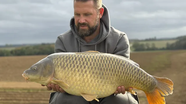 24.6 Common carp