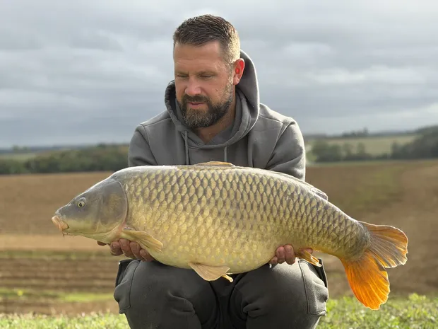 24.6 Common carp