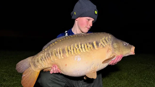33.6lb Carp