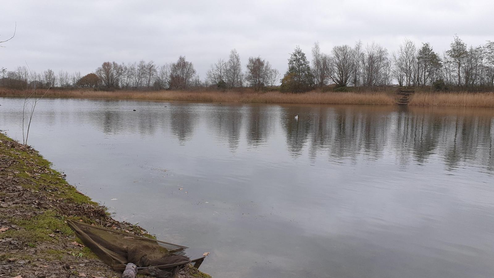 wddd-image-untouched