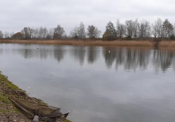 wddd-image-untouched