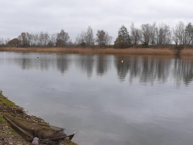 wddd-image-untouched
